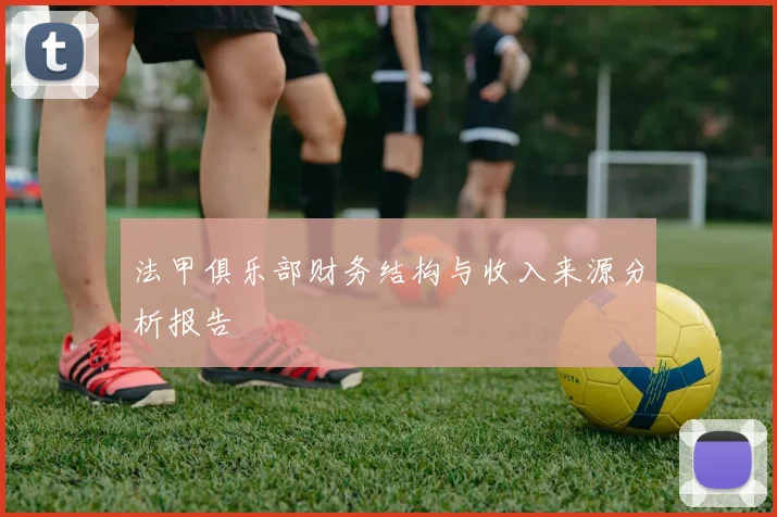 法甲俱乐部财务结构与收入来源分析报告