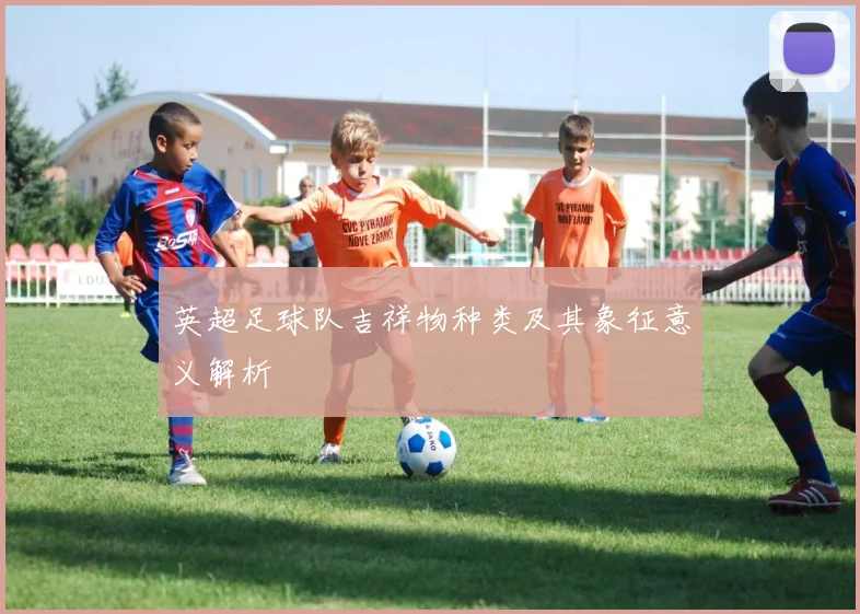 英超足球队吉祥物种类及其象征意义解析