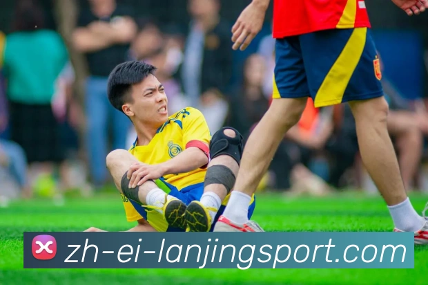 App Interface Preview