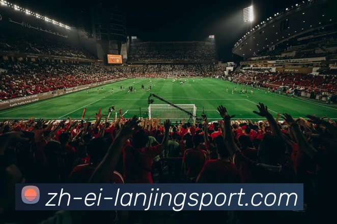 蓝鲸体育APP 封面图